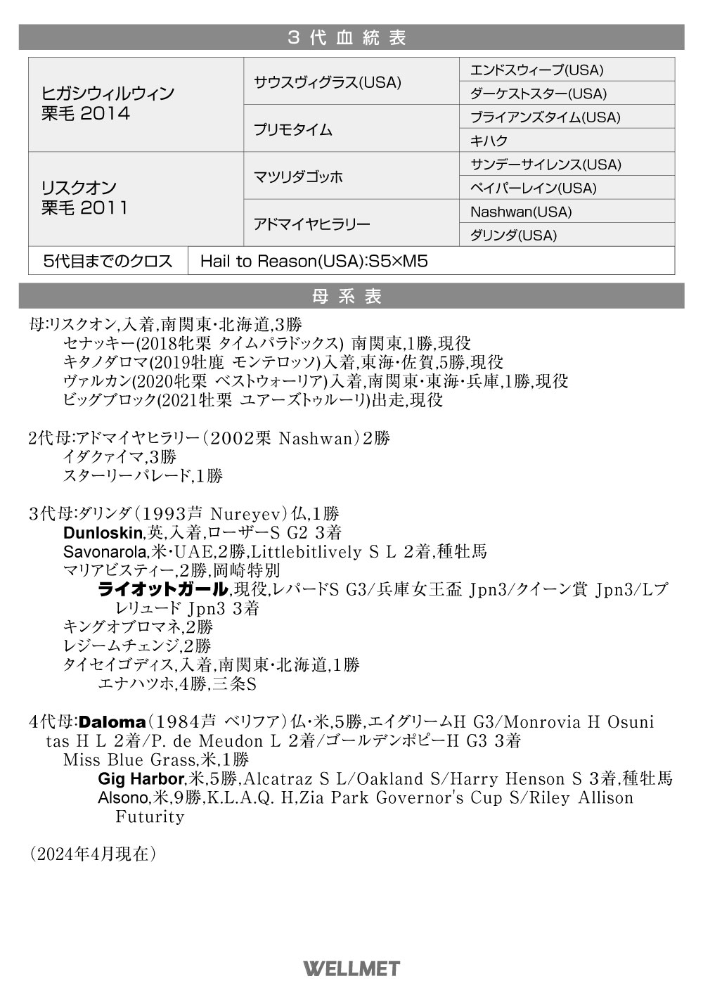 販売馬詳細 – WELLMET サラブレッド販売情報サイト ウェルメット